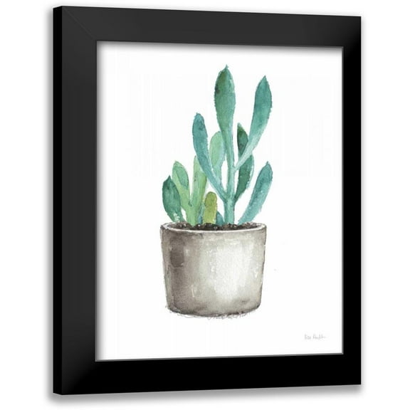 Audit, Lisa 12x14 Black Modern Framed Museum Art Print Titled - Mixed Greens Succulent V