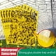 thumbnail image 2 of Price cut 20PCS Double Sided Sticky Insect Board Attractant Stickers Are Chemical Free, 2 of 5