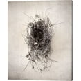 thumbnail image 1 of Nest II by Debra Van Swearingen, Canvas Wall Art, 16W x 20H, 1 of 1