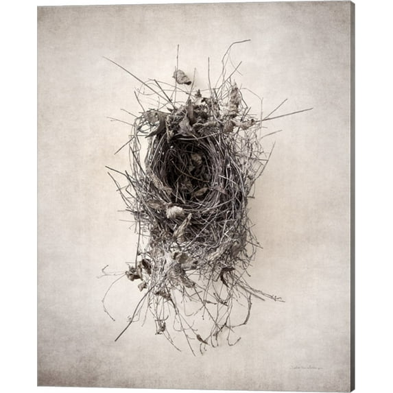 Nest II by Debra Van Swearingen, Canvas Wall Art, 16W x 20H