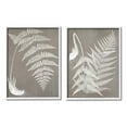 thumbnail image 4 of Stupell Industries Detailed Fern Plant White Botanical Herb Roots Graphic Art White Framed Art Print Wall Art, Set of 2, Design by Graffitee Studios, 4 of 5