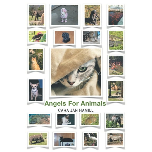 Angels for Animals, (Paperback)