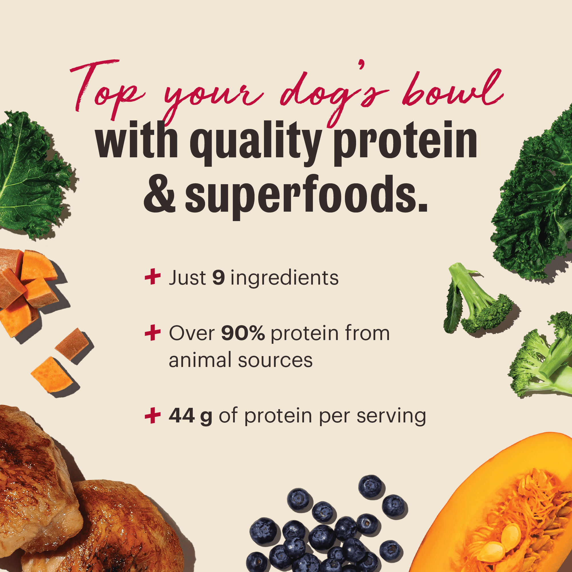 The Honest Kitchen Protein Plus Dehydrated Dog Food Topper, Human Grade High Protein Chicken Meal Topper with Superfoods, Grain Free for Picky Eaters, Digestive Support, Just Add Water, 12 oz Pouch