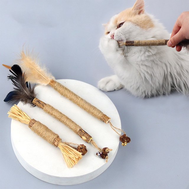 Juguetes Interactivos Ganfancp para Gatos Catnip Crinkle Sonido Suaves y Robustos Liquidación 1X Juguete Morde