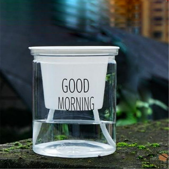 Transparent Flower Pot,Flower Pot Indoor Self Semi Hydroponics Pot Self Absorbed Watering Planter Pot Unparalleled Experience