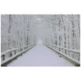 thumbnail image 2 of Northlight Lighted Fiber Optic Snowy Bridge and Trees Christmas Wall Art - 12" x 15.75", 2 of 5