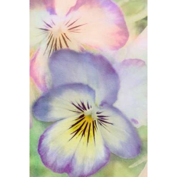 Victorian Flowers Canvas Art - Roberta Murray (12 x 18)