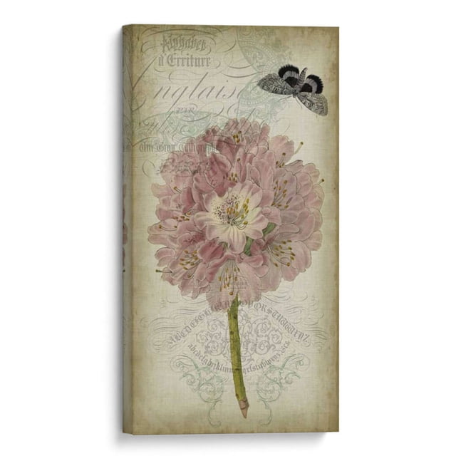 Cuadro decorativo - Cartouche Y Floral Ii, Jennifer Goldberger 80x160 Canvas Lab Animales, Botánica, Floral, Naturaleza, Animales y naturaleza
