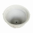 thumbnail image 5 of 18.75" Deep Antique White Magnesium Oxide Planter Pot for Indoor & Outdoor Use - Versatile Garden Planter, 5 of 5