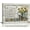 Amazing Sunflower, variant on Farmhouse Bathroom Decor Wall Art Rustic Cotton Flower Picture Wall Decor Country Painting Inspirational Quotes Canvas Prints Modern Framed Home Decor for Bedroom Living Room Kitchen 16"x12"