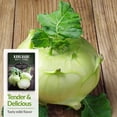 thumbnail image 4 of 2 Packs White Vienna Kohlrabi Seed - Non-GMO Heirloom Full Sun Biennial Vegetable, 4 of 6