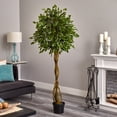 thumbnail image 3 of Nearly Natural 4 ft. Ficus Artificial Tree with Woven Trunk, UV Resistant (Indoor/Outdoor), 3 of 4
