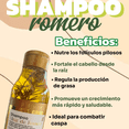thumbnail image 5 of Kit Capilar 2 Pack Shampoo y Acondicionador Herbal, Vegan Rosemary, organic ingredients 550ml, 5 of 10