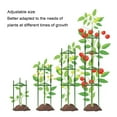 thumbnail image 3 of Cage à Tomates, Piquets Réglables Robustes Support Triangulaire pour Plantes Cage de Support en Acier pour Pots de Jardin Intérieur Extérieur, 3 of 7