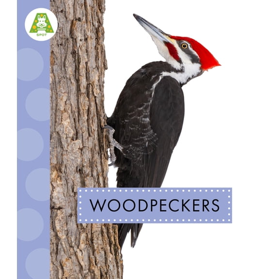 Spot Backyard Birds Woodpeckers, (Paperback)
