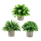 thumbnail image 3 of Plantas artificiales en maceta Strade Fareast Limited 3 piezas decorativas de imitación, 3 of 8