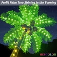 thumbnail image 2 of Palmera iluminada por LED de 8 pies con decoración navideña al aire libre con cocos, 2 of 6