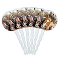 thumbnail image 1 of Horses Selfie Cupcake Picks Toppers Decoration Set of 6, 1 of 7