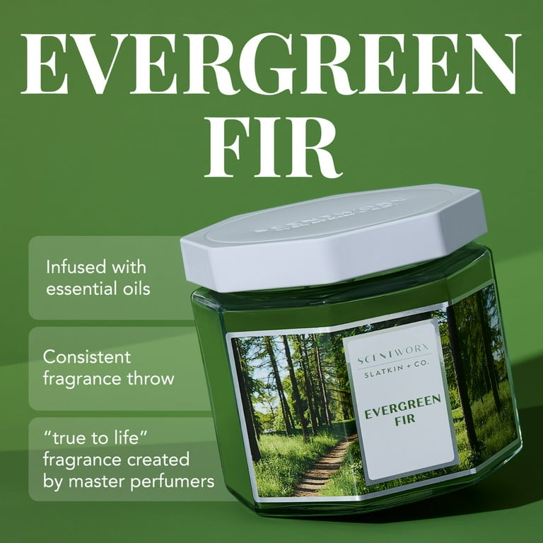 Scentworx 14.5 oz Evergreen Fir 3-Wick Jar Candle by Slatkin & Co