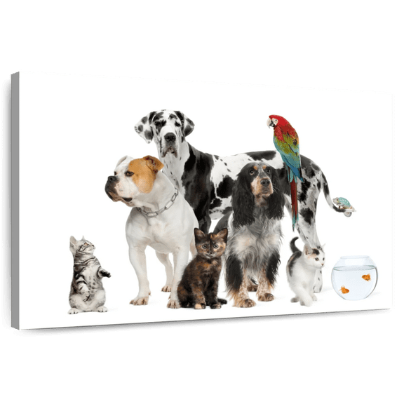 Elephant Stock Group Of House Pets Wall Art - Horizontal Canvas Wall Art - Living Room Wall Decor - Animal Canvas - White And Gray Decor - 12" x 8"