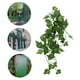 thumbnail image 1 of Forma Realista de Ratán Simulada, Planta Colgante, Decreto de Vid falsa para Peceras, Cajas de Reptiles y Acuarios, Adecuada para decoración de reptiles, respetuosa, 1 of 7