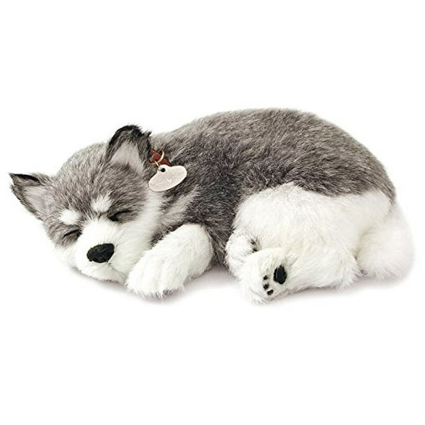 bluey plush characters