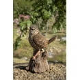 thumbnail image 5 of Hi-Line Gifts 5.25" Motion Activated Singing Troglodyte Standing on Stump Outdoor Garden Statue, 5 of 8