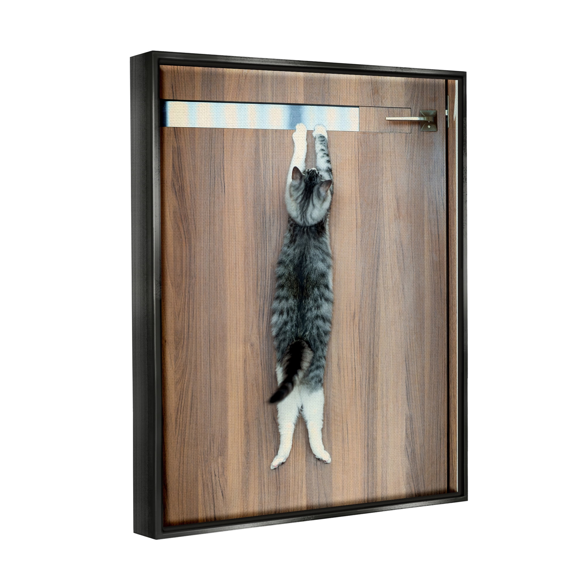Stupell Industries Desperate Cat Escaping Animals & Insects Photography Black Floater Framed Canvas Art Print Wall Art, 25 x 31