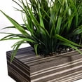 thumbnail image 2 of Vintage Home Artificial Faux Lifelike Plastic 13" Tall Green Grass In Zebra Wood Holder, 2 of 3