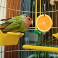 thumbnail image 3 of Parrots Fruit Skewer Stainless Steel Birds Vegetable Fruit Holder, 3 of 6