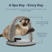 TRIXIE Cat Massager and Self Grooming Arch, Bristle Ring Brush, Carpet Scratcher, Gray