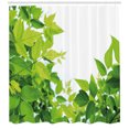 thumbnail image 3 of Ambesonne Plant Shower Curtain, Birth of Nature, 69"Wx75"L, Apple Green, 3 of 3
