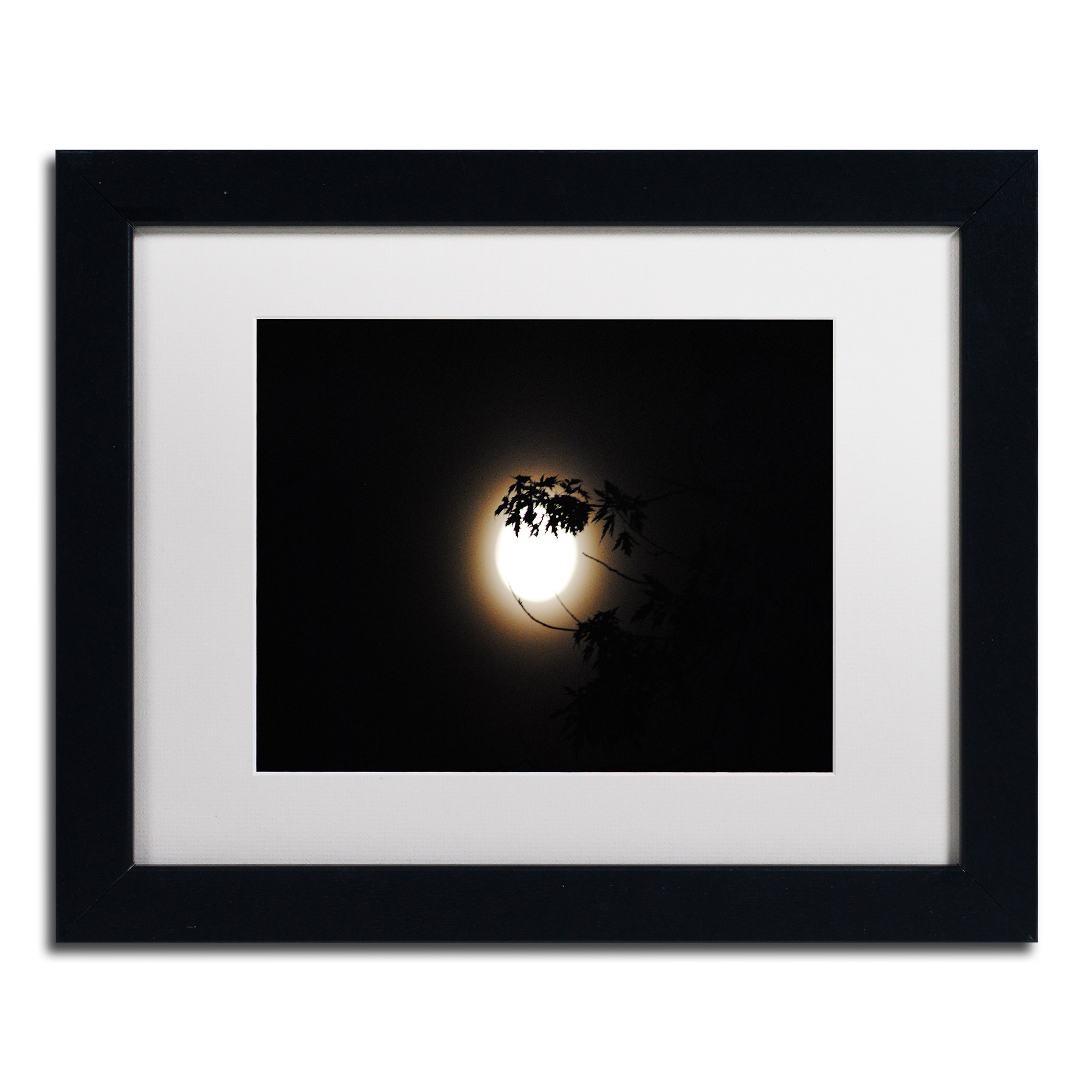Trademark Fine Art "Howl" Canvas Art by Monica Mize, White Matte, Black Frame