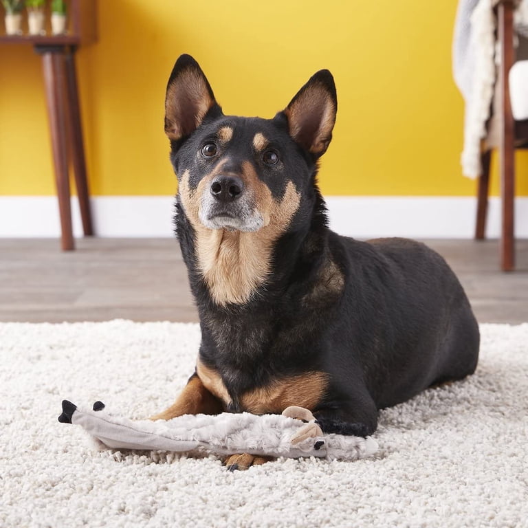 Stuffing-Free Crinkle and Squeaker Dog Toy, Goat Design photo 3