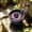 Dark Blue, variant on Berry Bowl, Fruit Containers For Fridge, 5.91x5.91x3.15 Inch Blue Fruit Colander Basket, Creates Gentle Swirling Water To Clean Berries