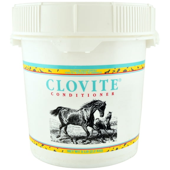 PFIZER Equine Clovite Vitamin Supplement