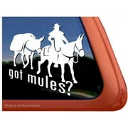 Got Mules? | High Quality Vinyl Trail Riding Pack Mule Decal