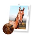 thumbnail image 1 of Horse - Kit de Peinture Diamant Premium Exclusif, 1 of 8