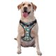 thumbnail image 1 of Fotbe Eggs Toast Bacon And Arugula Arnés para Perro con Estampado –Chaleco Ajustable Acolchado con Asa de Control para Perros Grandes-Medium, 1 of 6