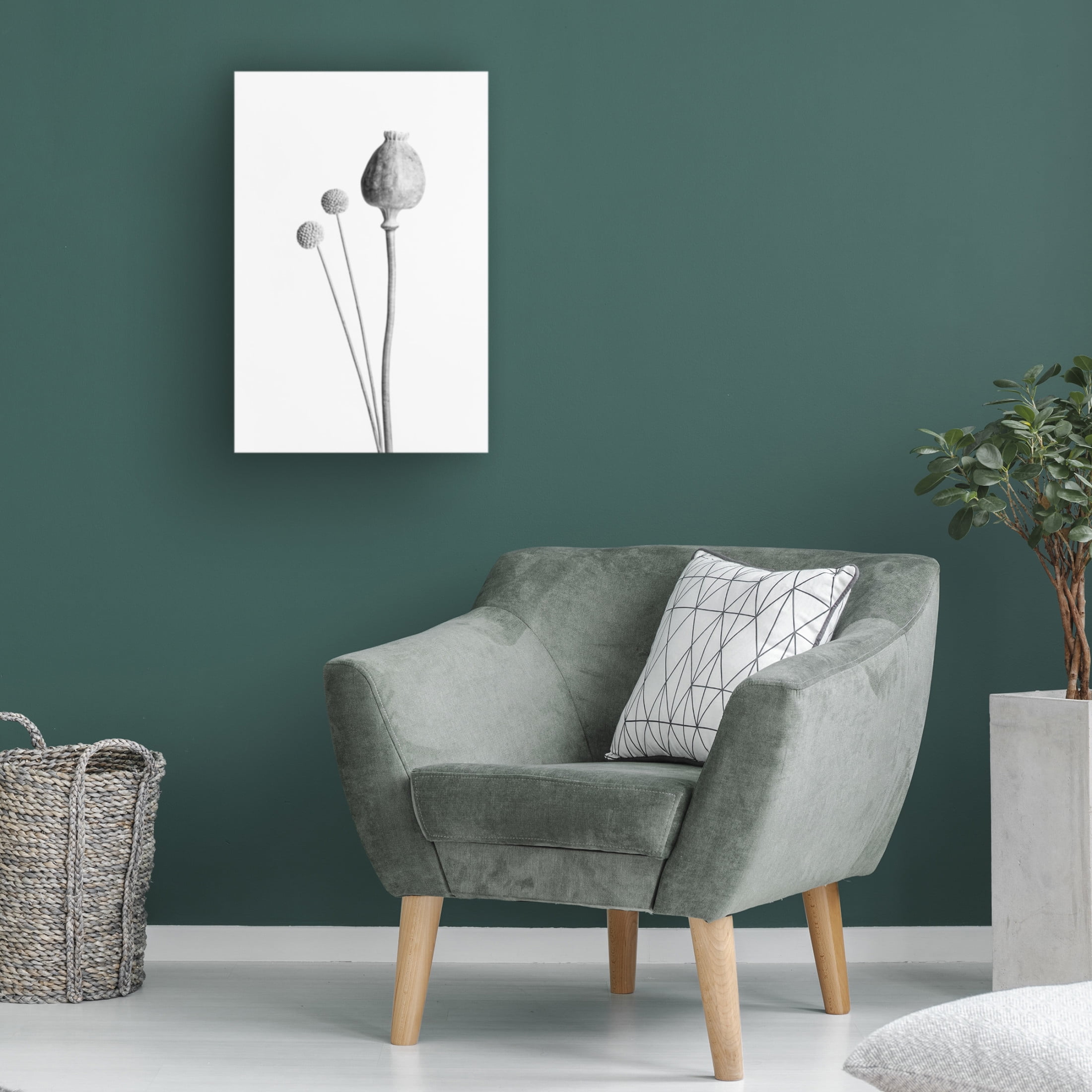 Trademark Fine Art Pictufy Studio Poppy Seed Capsule Black And White Canvas Wall Art