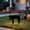 A, variant on Metal Kitty Cat Garden Stake Decor With Luminous Eyes, Black Acrylic Yard Art Ornament For Outdoor Patio Lawn Landscaping Gift