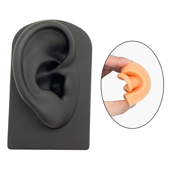 Accesorios de Modelo de Oreja, Modelo Artificial de Silicona, Ejercicios, Estudio, Oficina, Auriculares, Accesorios de Exhibición , Negro Salvador Modelado de partes del cuerpo humano