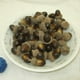 thumbnail image 5 of Decorative Acorns Small Acorn Set for Decoration 200Pcs Dark Color, 5 of 5