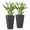 Black A, variant on Set of 3 Plastic Flower Pots with Tall Rectangular Shape, Indoor Outdoor Planters for Plants Flowers Herbs, Modern Minimalist Planter Set