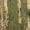 Realtree APX, variant on Men's Ambush Hoodie Mossy Oak Original Bottomland XL