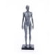 thumbnail image 3 of Bearachild Modelo de cuerpo humano Estudio de ciencia Laboratorio Educación Enseñanza Artesanía Artesanía Typ 1 Bearachild HA061564-01, 3 of 6