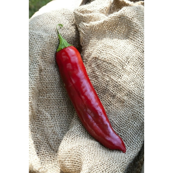 Big Jim Numex New Mexico Hot Pepper Premium Seeds Packet
