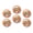 C0738, variant on Glass Refrigerator Magnet 6Pcs Magnetic Fridge Sticker,Decor for Kitchen,Whiteboard,Cabinet,Pig With Two Baby Pigs