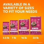 Iams Proactive Health Urinary Tract Health Chicken Dry Cat Food, 7 Lb Bag