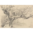 thumbnail image 2 of James Ward 14x11 Black Ornate Wood Framed Double Matted Museum Art Print Titled: An Old Oak Tree, 2 of 5